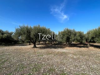 Οικόπεδο 3.330 τ.μ. για πώληση, Αχαΐα, Μεσσατίδα-thumb-15
