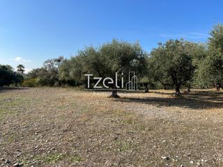 Οικόπεδο 3.330 τ.μ. για πώληση, Αχαΐα, Μεσσατίδα-thumb-19