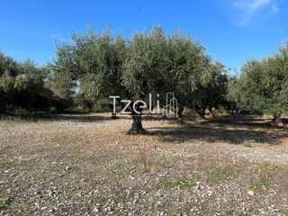 Οικόπεδο 3.330 τ.μ. για πώληση, Αχαΐα, Μεσσατίδα-thumb-10
