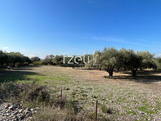 Οικόπεδο 3.330 τ.μ. για πώληση, Αχαΐα, Μεσσατίδα-thumb-29