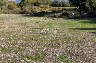 Οικόπεδο 3.330 τ.μ. για πώληση, Αχαΐα, Μεσσατίδα-thumb-16