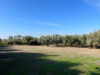 Οικόπεδο 3.330 τ.μ. για πώληση, Αχαΐα, Μεσσατίδα-thumb-9