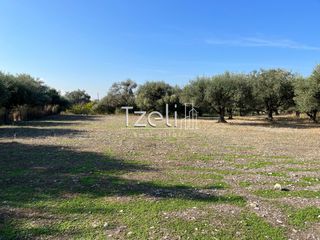 Οικόπεδο 3.330 τ.μ. για πώληση, Αχαΐα, Μεσσατίδα-thumb-6