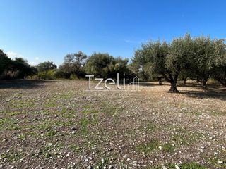 Οικόπεδο 3.330 τ.μ. για πώληση, Αχαΐα, Μεσσατίδα-thumb-28