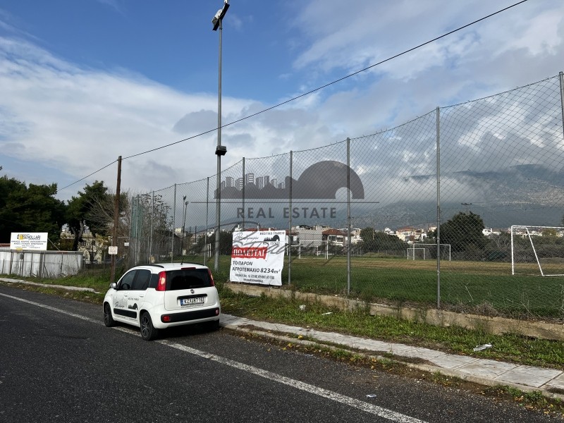 Αγροτεμάχια 8.234 τ.μ. προς πώληση, Καραγάτς