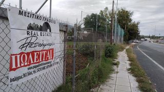 Αγροτεμάχια 8.234 τ.μ. για πώληση