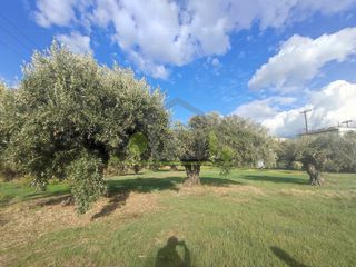 Οικόπεδο 470 τ.μ. προς πώληση, Οβριά-thumb-14