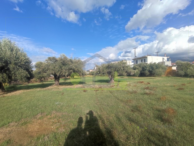 Οικόπεδο 470 τ.μ. προς πώληση, Οβριά