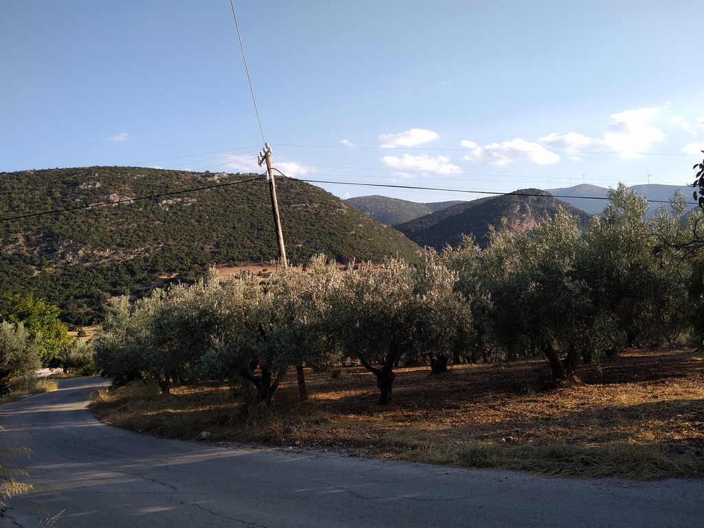 Αγροτεμάχια 8.000 τ.μ. προς πώληση, Ζόγκα