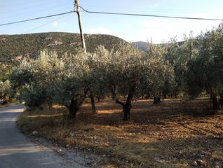Αγροτεμάχια 8.000 τ.μ. για πώληση, Αργολίδα, Άργος-thumb-2