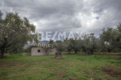 Parcel 4.004sqm for sale-Artemida » Kato Lechonia
