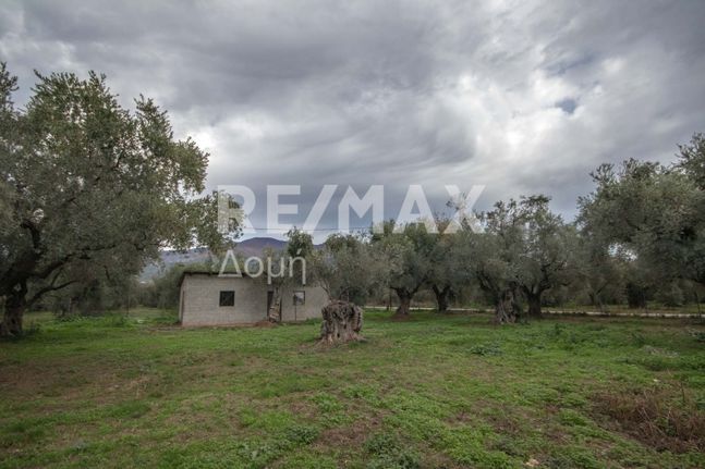 Αγροτεμάχια 4.004 τ.μ. για πώληση, Μαγνησία, Αρτέμιδα