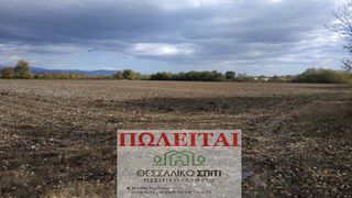 Αγροτεμάχια 13.000 τ.μ. για πώληση