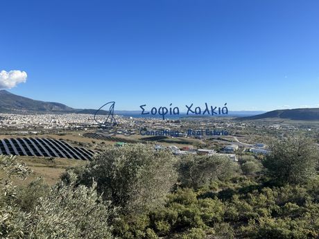 Αγροτεμάχια 30.000τ.μ. για πώληση-Νέα ιωνία βόλου » Μελισσάτικα