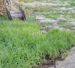 Οικόπεδο 1.760 τ.μ. για ενοικίαση, Αχαΐα, Πάτρα-thumb-27