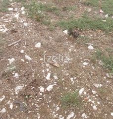 Οικόπεδο 235 τ.μ. για πώληση, Αχαΐα, Πάτρα-thumb-26