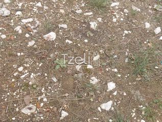 Οικόπεδο 235 τ.μ. για πώληση, Αχαΐα, Πάτρα-thumb-12