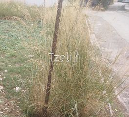 Οικόπεδο 235 τ.μ. για πώληση, Αχαΐα, Πάτρα-thumb-29