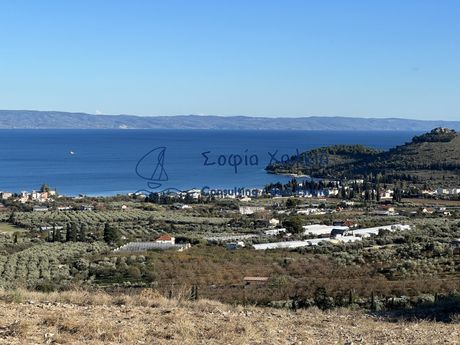Parcel 40.000sqm for sale-Volos » Nees Pagases