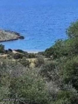 Οικόπεδο 42.000τ.μ. για πώληση-Σίκινος » Αλοπρόνοια