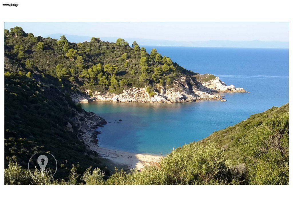 Αγροτεμάχια 25.000 τ.μ. προς πώληση, Σάρτη