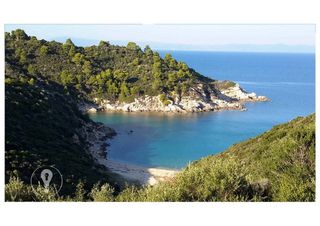 Αγροτεμάχια 25.000 τ.μ. για πώληση