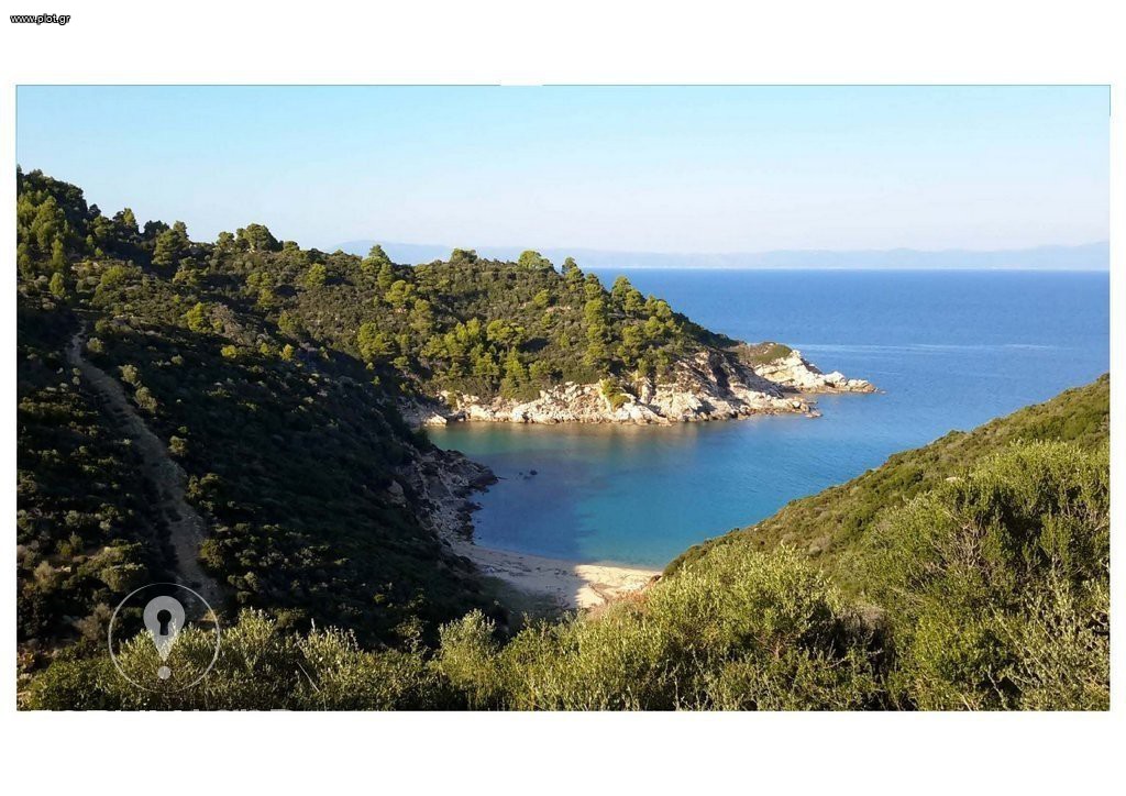 Αγροτεμάχια 25.000 τ.μ. προς πώληση, Σάρτη
