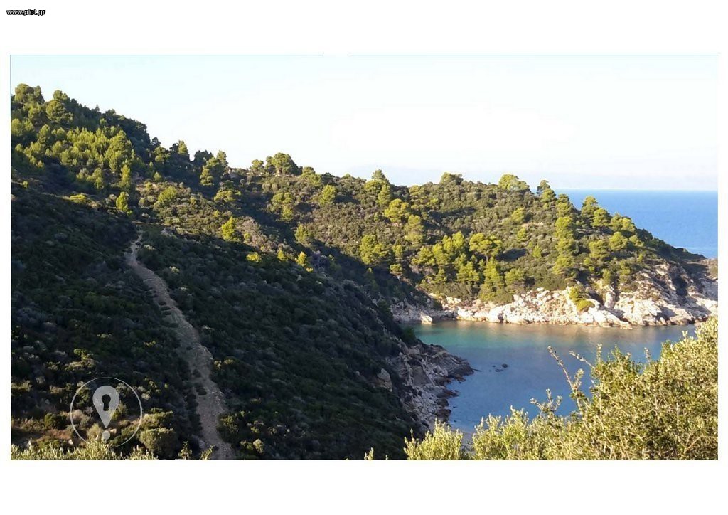 Αγροτεμάχια 25.000 τ.μ. προς πώληση, Σάρτη