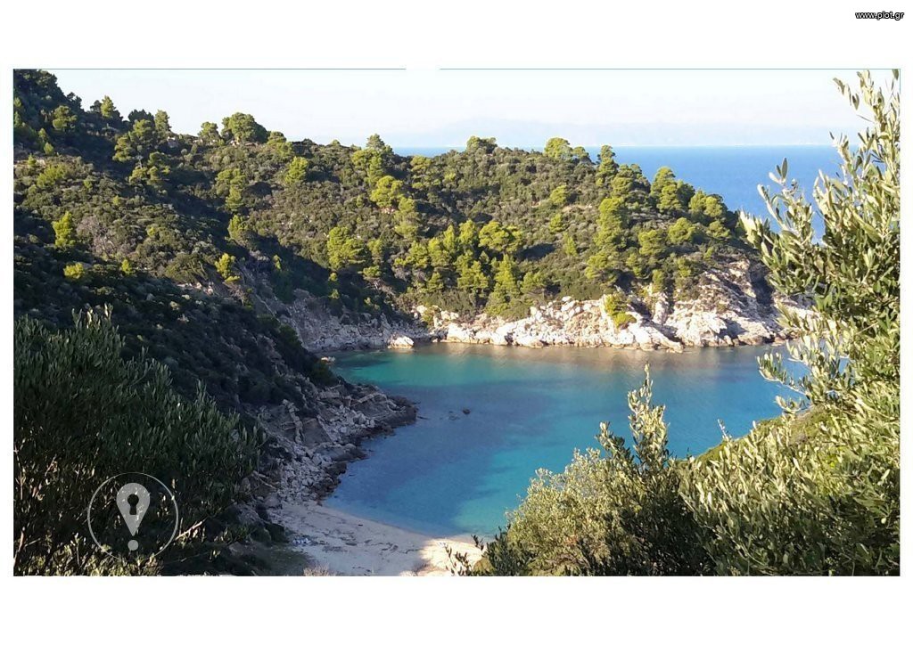 Αγροτεμάχια 25.000 τ.μ. προς πώληση, Σάρτη
