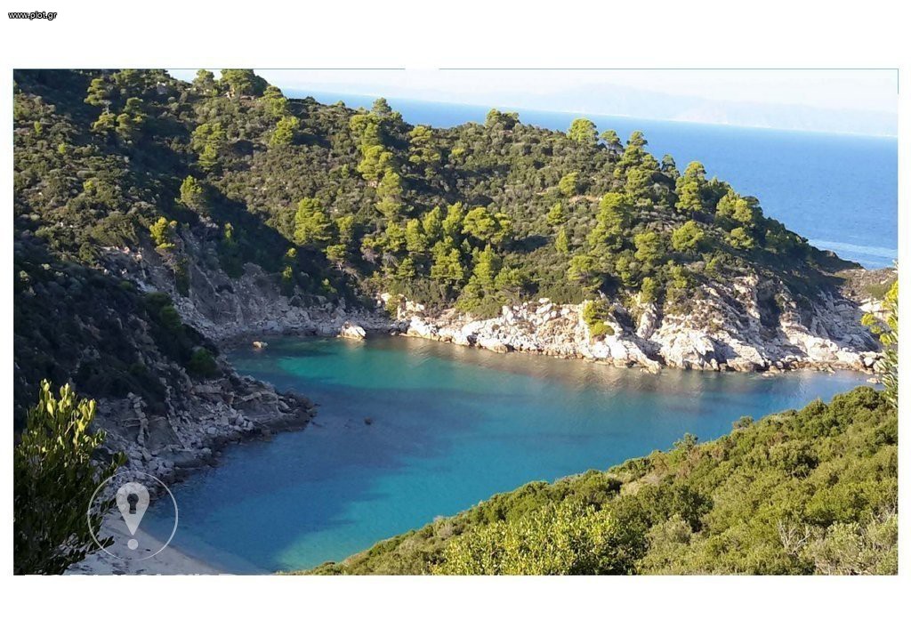 Αγροτεμάχια 25.000 τ.μ. προς πώληση, Σάρτη