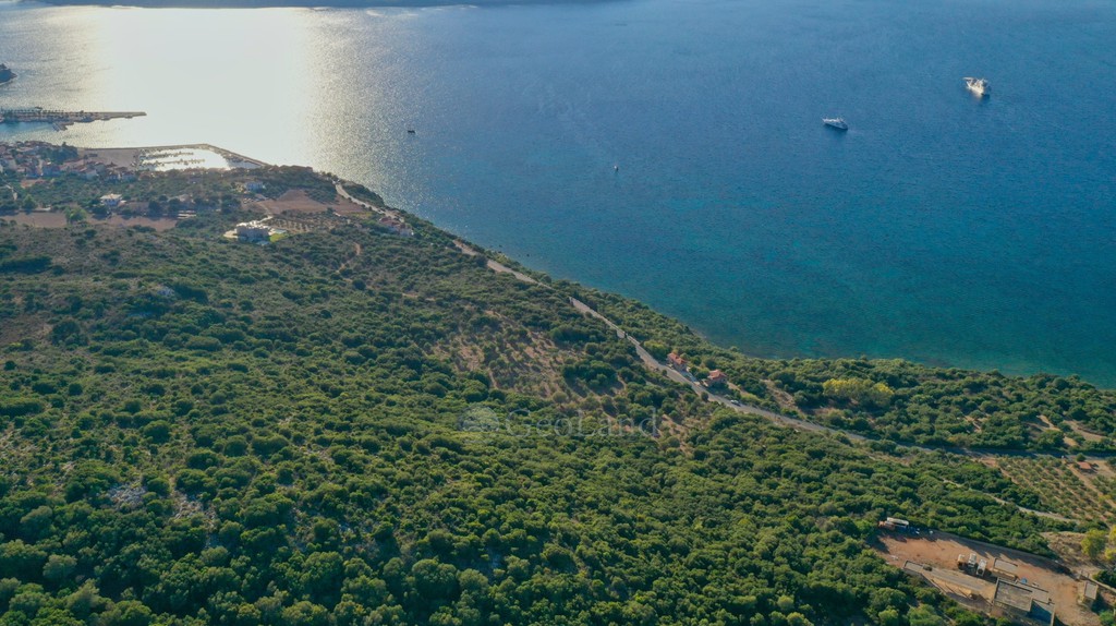 Αγροτεμάχια 23.340 τ.μ. προς πώληση, Γιάλοβα