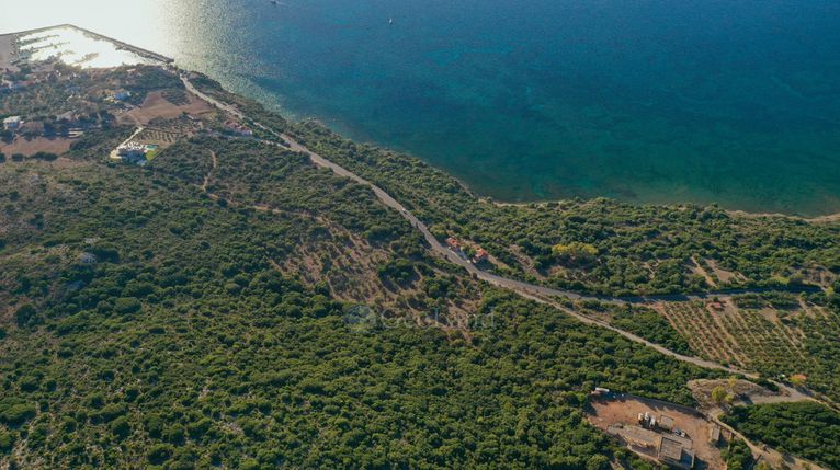 Αγροτεμάχια 23.340 τ.μ. για πώληση, Μεσσηνία, Πύλος