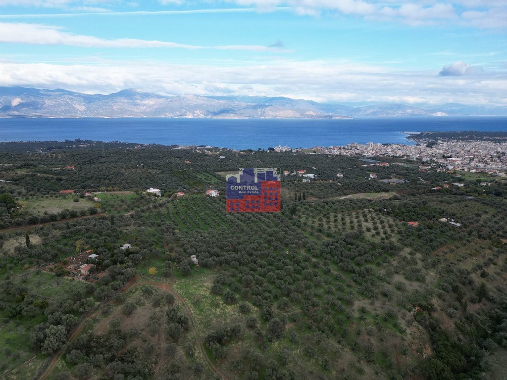 Αγροτεμάχια 6.081 τ.μ. προς πώληση, Κέντρο Αιγίου
