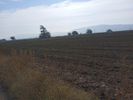 Αγροτεμάχια 5.750τ.μ. για πώληση-Θέρμη » Νέα ραιδεστός