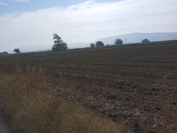 Αγροτεμάχια 5.750 τ.μ. για πώληση, Θεσσαλονίκη - Περιφ/Κοί Δήμοι, Θέρμη