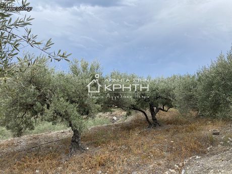 Land plot 844sqm for sale-Viannos » Psari Forada