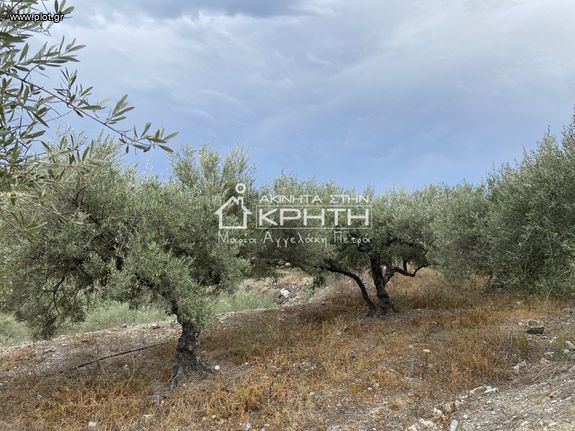 Οικόπεδο 844 τ.μ. για πώληση, Ν. Ηρακλείου, Βιαννός