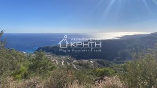 Land plot 10.000 sqm for sale