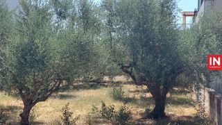 Οικόπεδο 502 τ.μ. για πώληση, Μεσσηνία, Μεσσήνη-thumb-1
