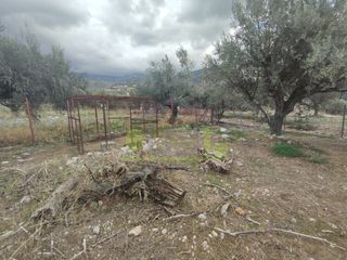 Αγροτεμάχια 1.260 τ.μ. για πώληση, Αχαΐα, Πάτρα-thumb-20