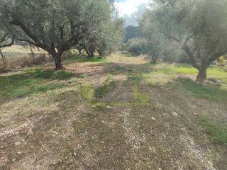 Αγροτεμάχια 1.260 τ.μ. για πώληση, Αχαΐα, Πάτρα-thumb-5