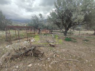 Αγροτεμάχια 1.260 τ.μ. για πώληση, Αχαΐα, Πάτρα-thumb-21