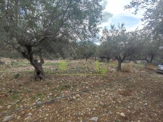 Αγροτεμάχια 1.260 τ.μ. για πώληση, Αχαΐα, Πάτρα-thumb-24