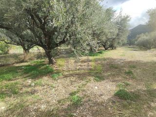 Αγροτεμάχια 1.260 τ.μ. για πώληση, Αχαΐα, Πάτρα-thumb-3