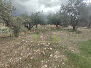 Αγροτεμάχια 1.260 τ.μ. για πώληση, Αχαΐα, Πάτρα-thumb-18