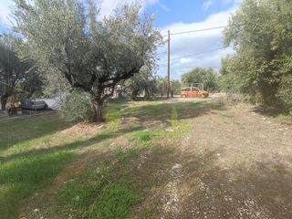 Αγροτεμάχια 1.260 τ.μ. για πώληση, Αχαΐα, Πάτρα-thumb-1