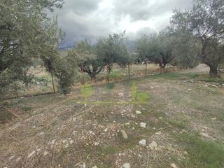 Αγροτεμάχια 1.260 τ.μ. για πώληση, Αχαΐα, Πάτρα-thumb-17