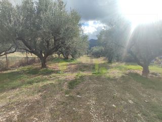 Αγροτεμάχια 1.260 τ.μ. για πώληση, Αχαΐα, Πάτρα-thumb-9