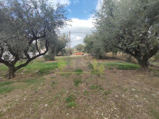Αγροτεμάχια 1.260 τ.μ. για πώληση, Αχαΐα, Πάτρα-thumb-12