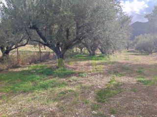 Αγροτεμάχια 1.260 τ.μ. για πώληση, Αχαΐα, Πάτρα-thumb-8
